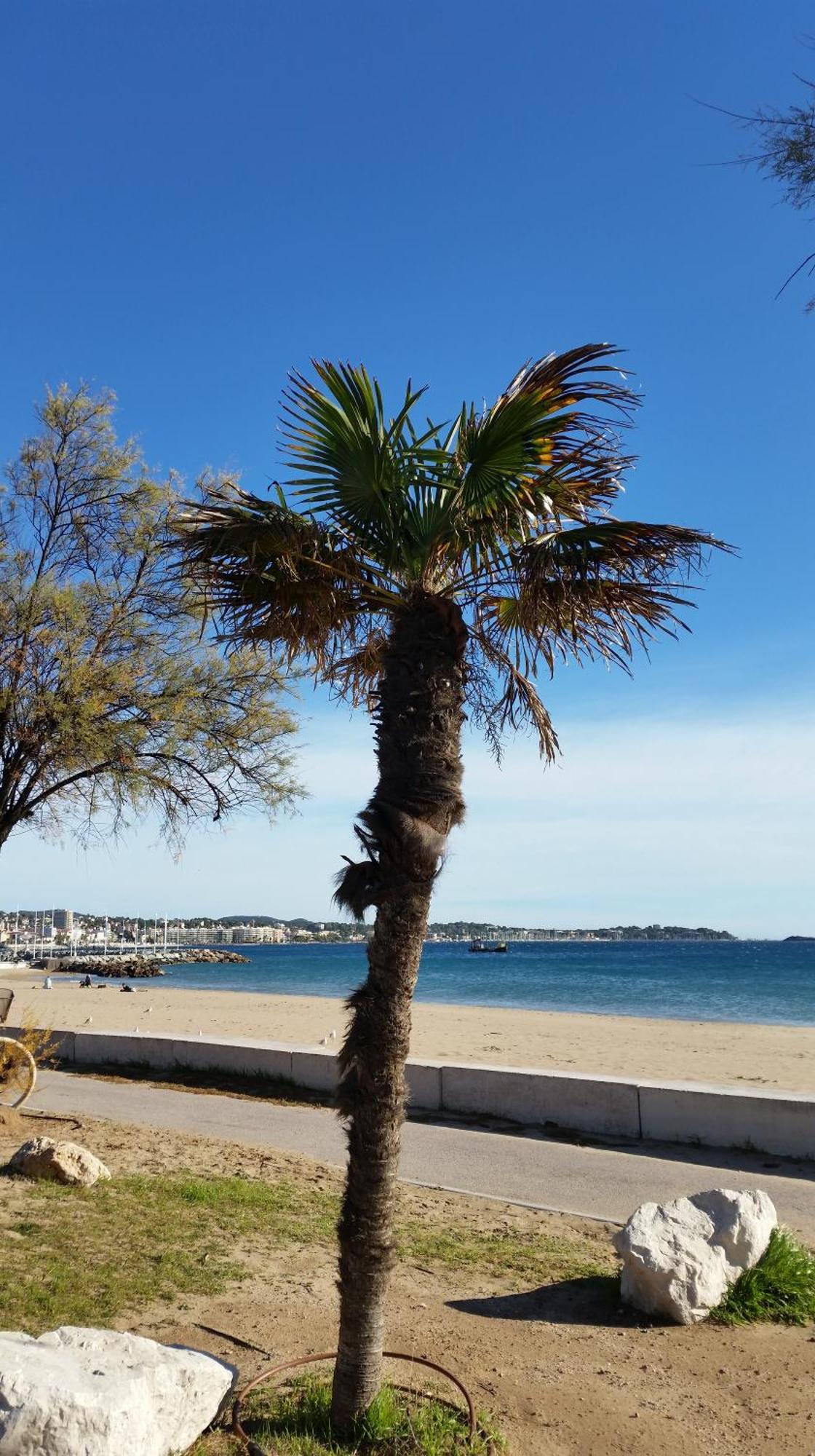 Sublime Vue Mer,Parking,Wifi Fréjus Exterior foto